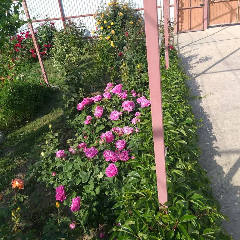 Коттедж 1-комнатный Дом — Солнечная Долина