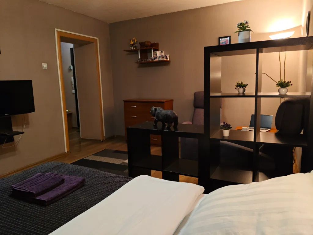 Просторная квартира с балконом в центре