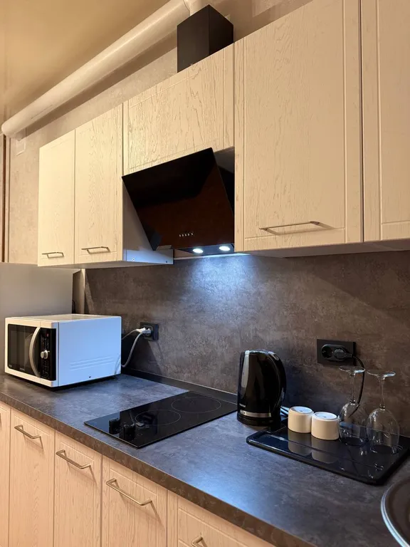 Современная квартира в самом центре города