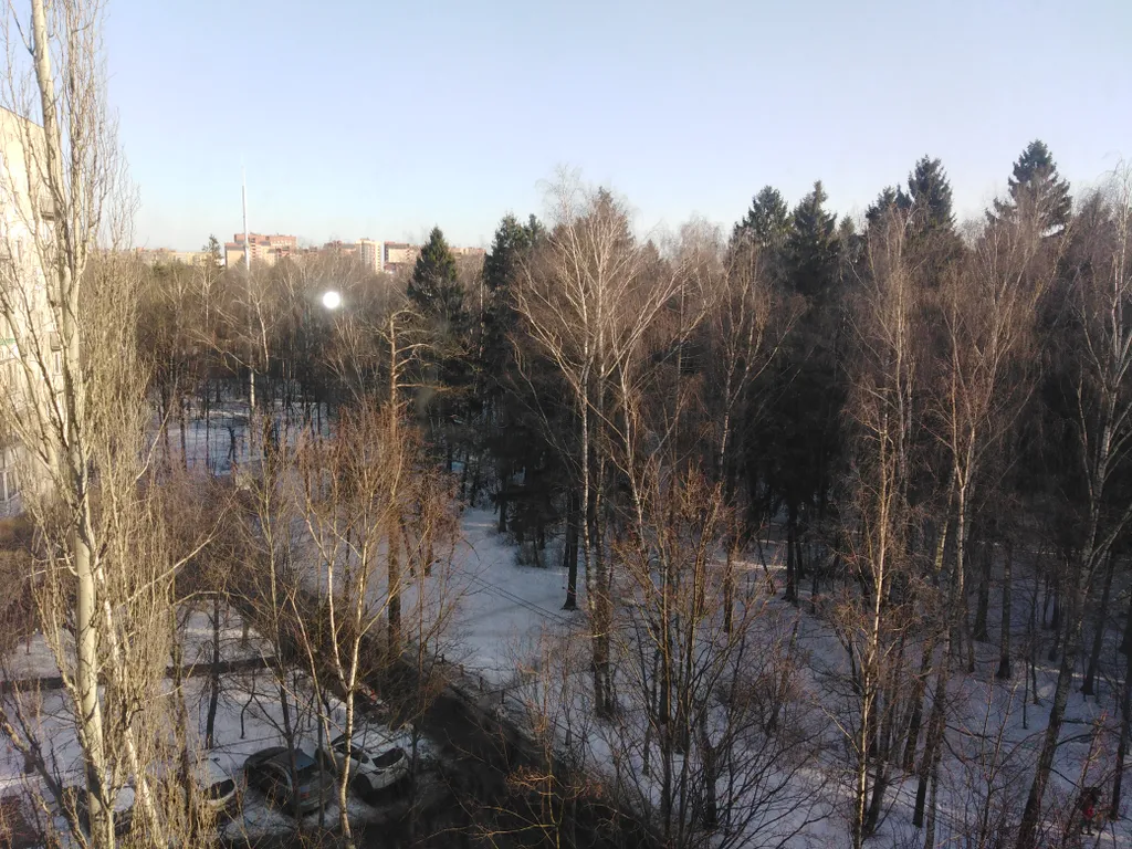 Уютная квартира рядом с лесом