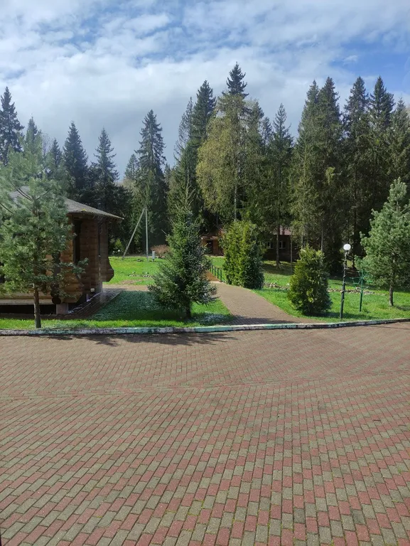 Бревенчатый коттедж Вип 1, 3 спальни на берегу озера Селигер