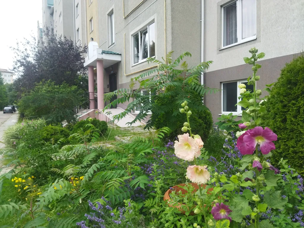 Апартаменты Читальный зал