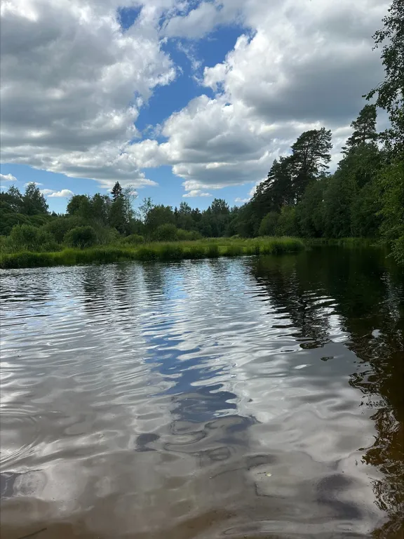 Коттедж Уютный дом — Сиверский