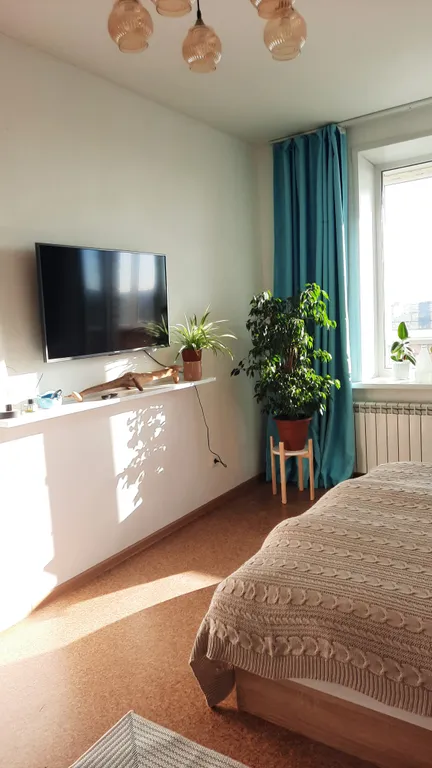 Квартира Уютная квартира в центре города — Ярославль