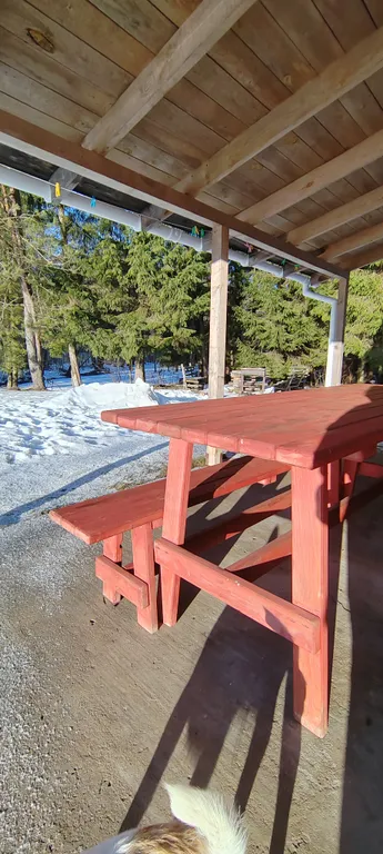 Домик у речки - мечта интроверта