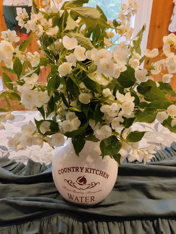 Дом под солнцем