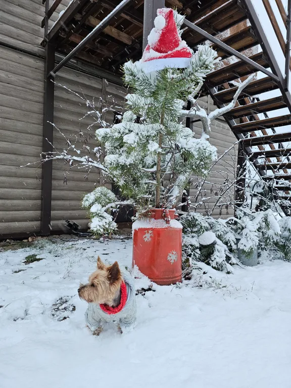 Апартамент с видом на залив Ладожского озера