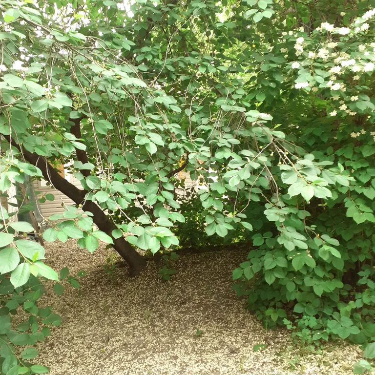 Тихое место в центре
