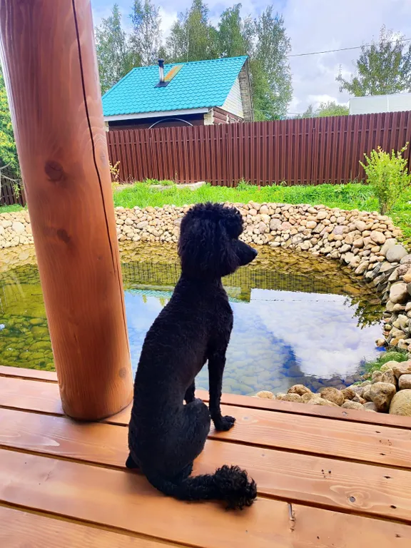 Комфортабельная баня