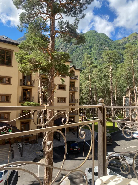 Апартаменты в сосновом бору с видом на горы