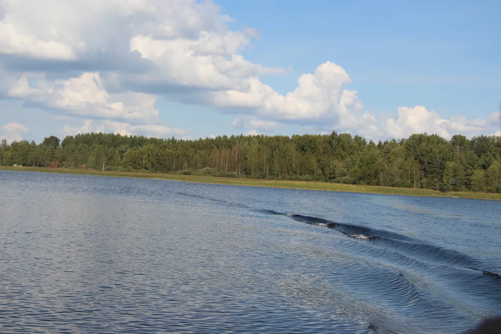 Хижина в лесу на берегу озера без соседей