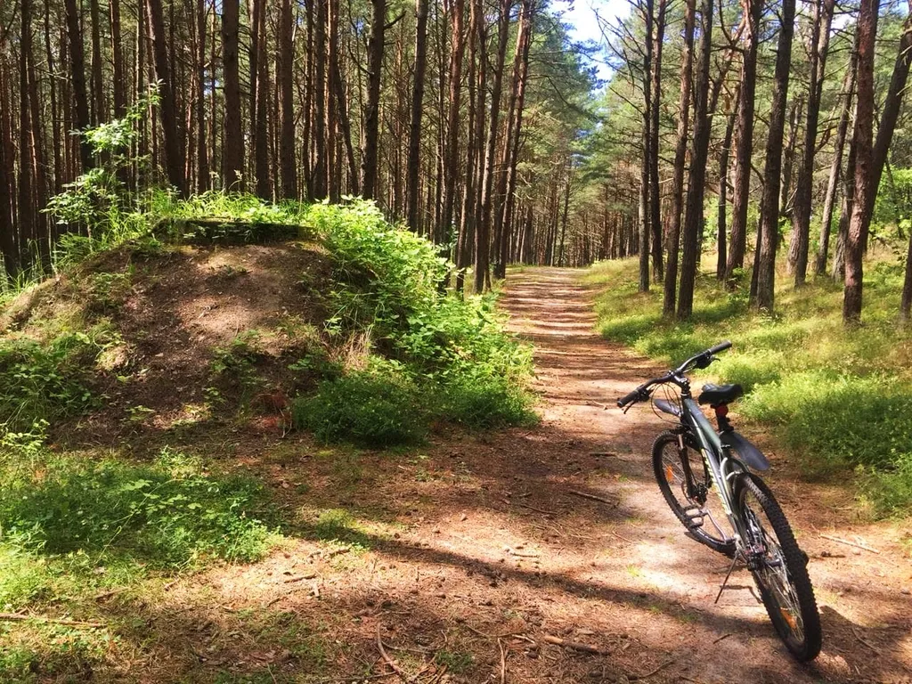 Дом с мангалом и баней возле моря