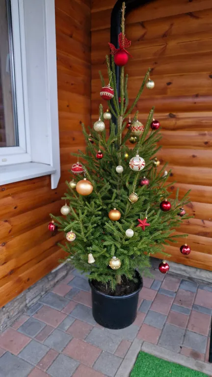 Дом с баней и парковкой