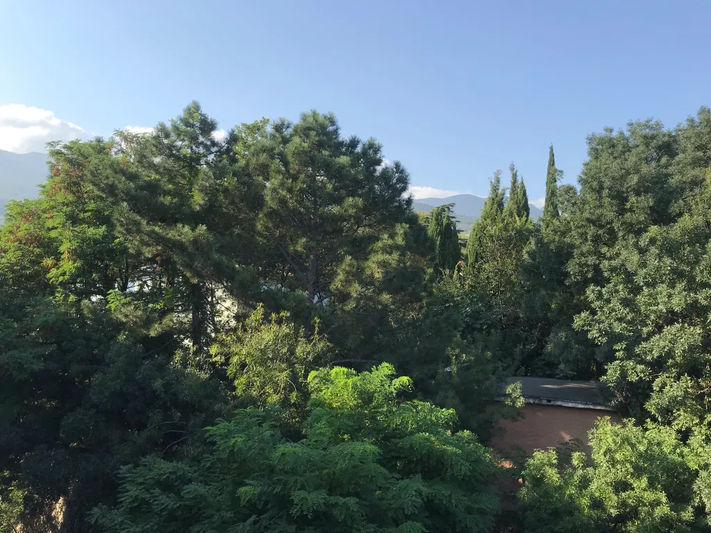 Уютная квартира с потрясающим видом на море