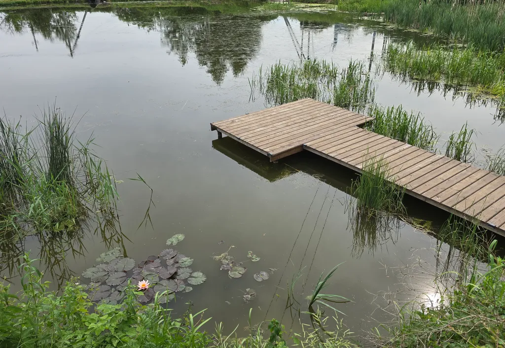 Дом у пруда