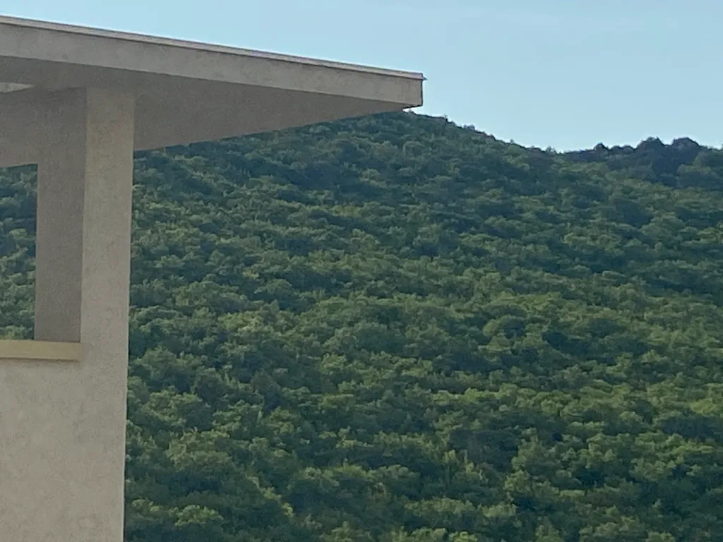 Квартира с видом на можжевеловую рощу и море