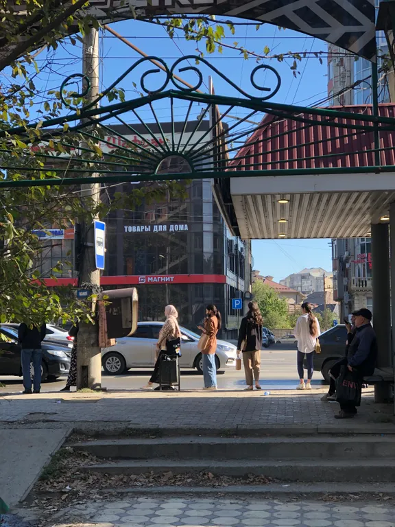 Студия с видом на Тарки-Тау