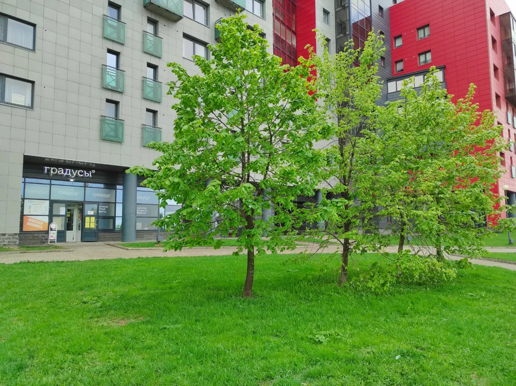 Берег на Варкауса