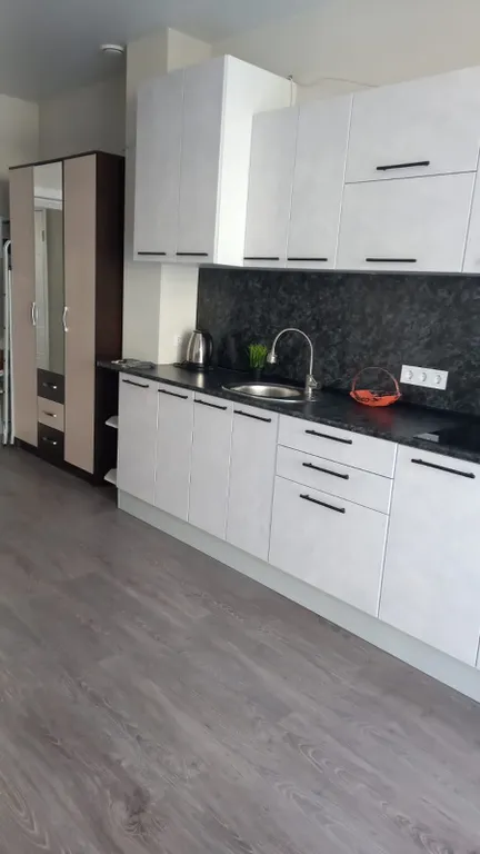 Уютная студия с видом на можжевёловый лес