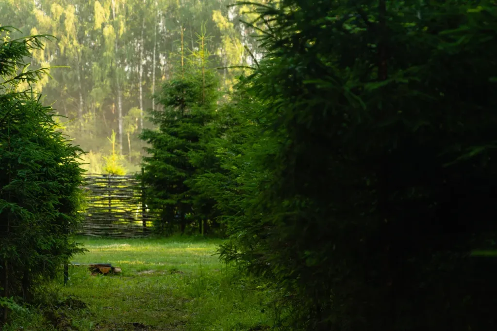 Авторский домик В ЛЕСУ - "Карельский"