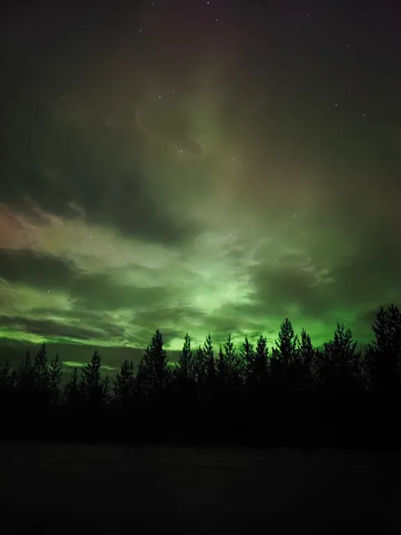 Квартира  в самом центре города