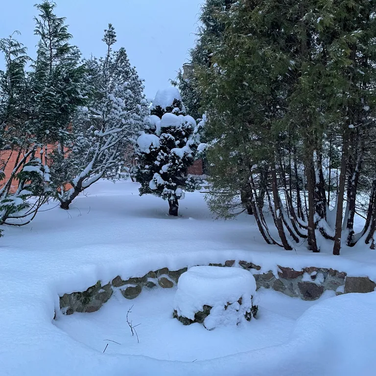 Коттедж Дом на Финском Заливе — Лебяжье