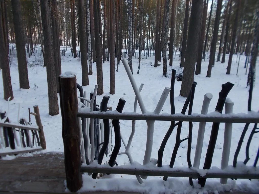 Дом в лесу на берегу озера