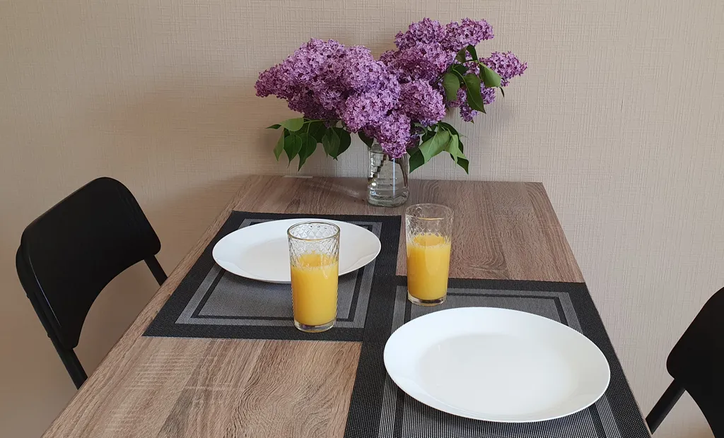 Квартира Уютная квартира в Курортном районе — Песочный