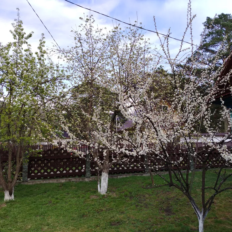 Глубинка Алтая, дом с камином на берегу реки