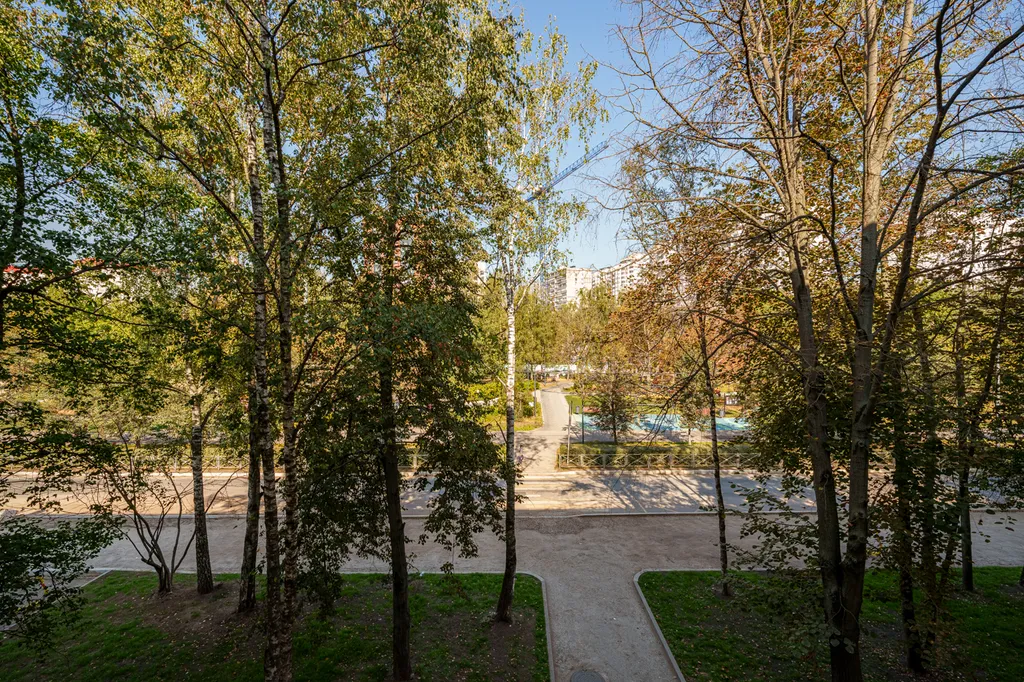 Комфортная студия