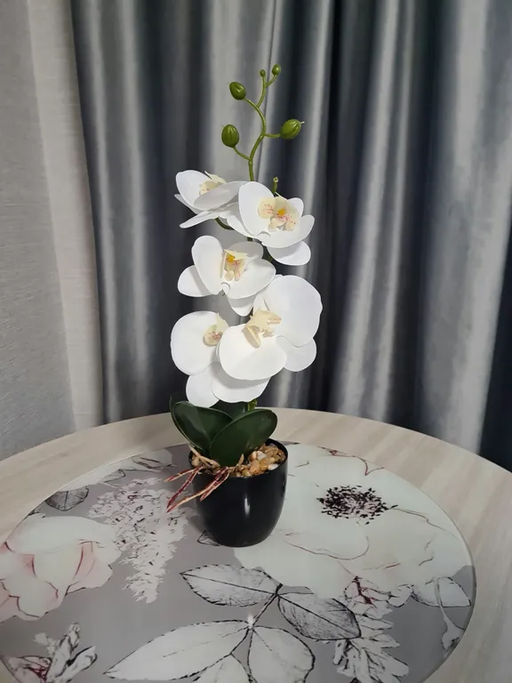 Уютная квартира, свежий ремонт, в самом центре города