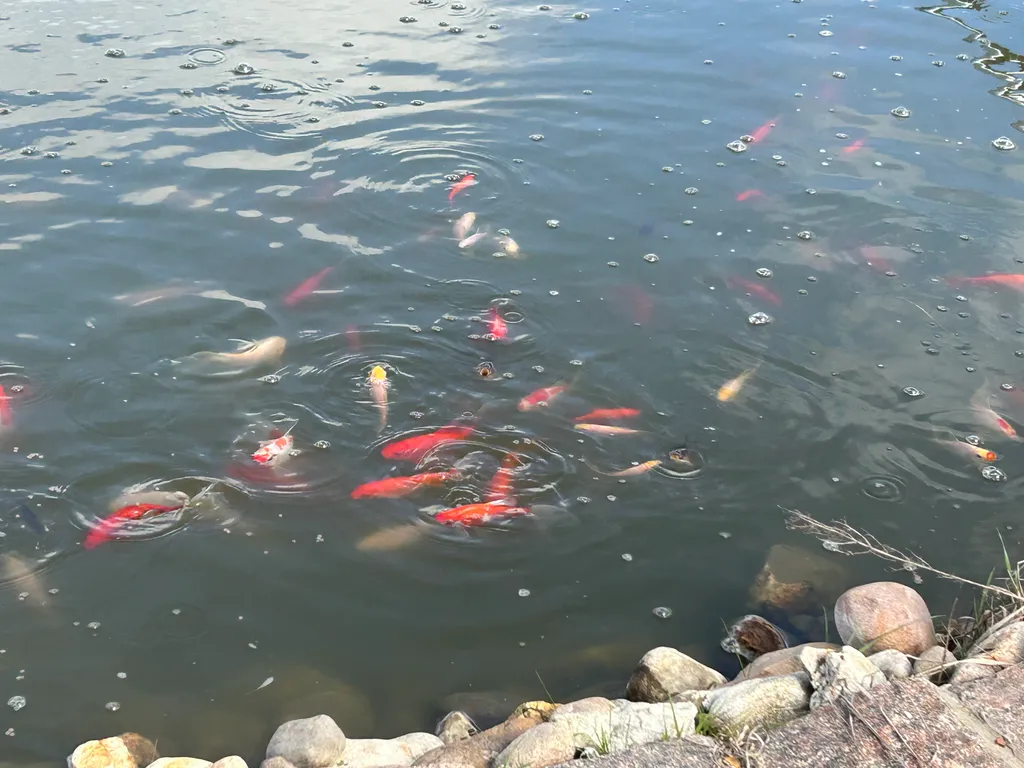 Дом с баней и камином в заповеднике