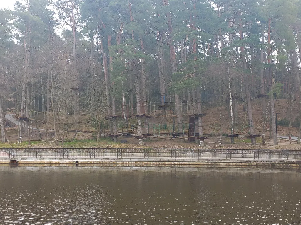 Квартира Апартаменты Александра рядом с сосновым бором и озером — Светлогорск