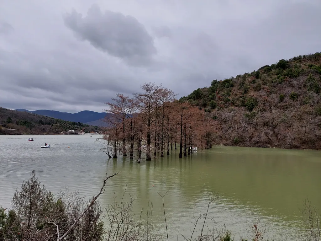 Уютная квартира с отдельным входом в ЖК Кипарис