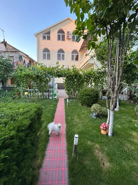 Целый этаж для большой компании.