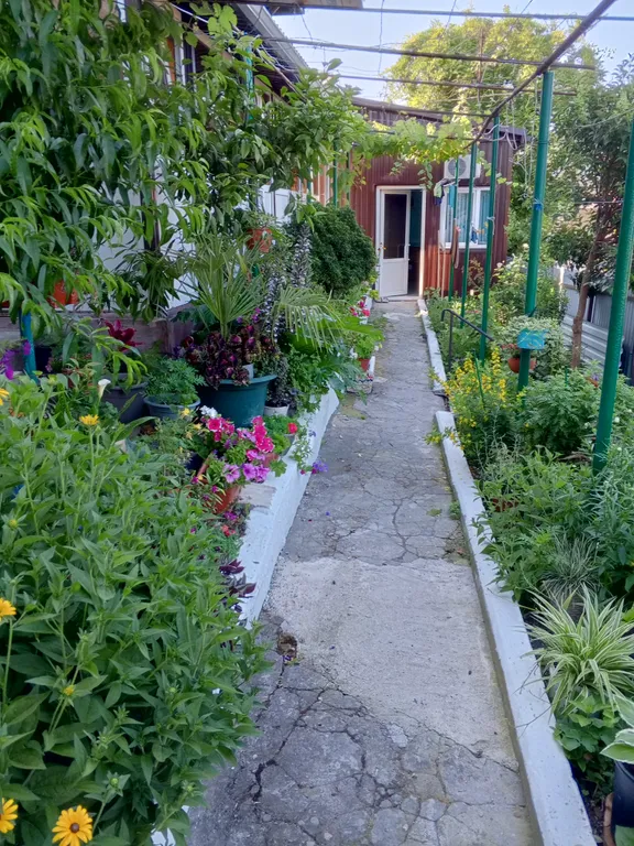 Комната с отдельным входом в частном секторе