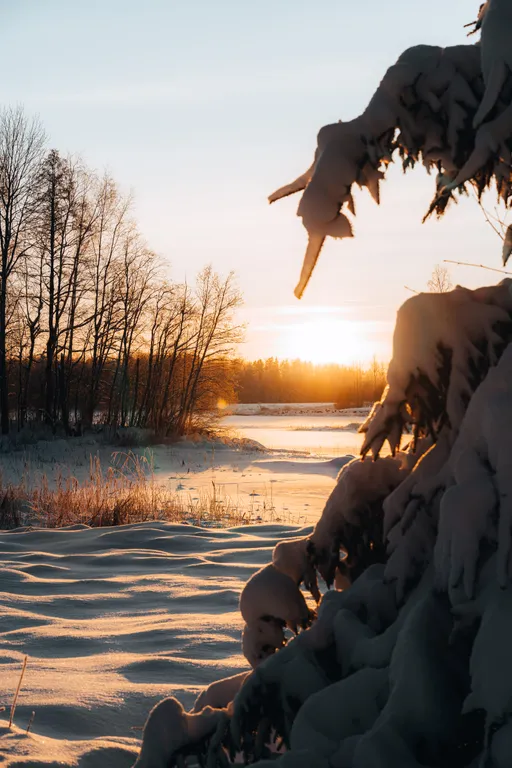 Апартаменты с дополнительным местом