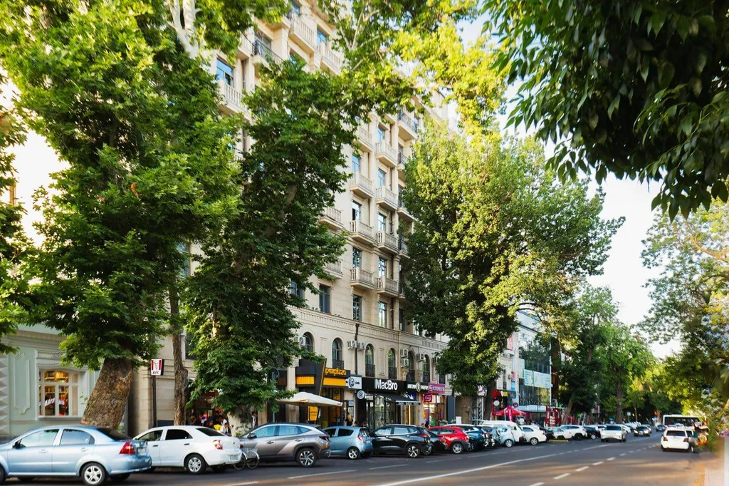 Премиум квартира в центре (Ц 1)