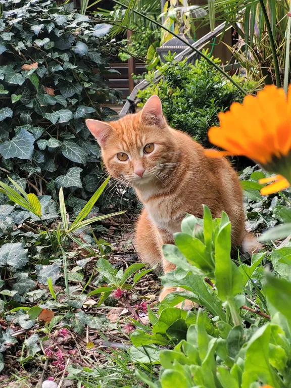 Апартамент Лазурный залив с видом на море 3 этаж