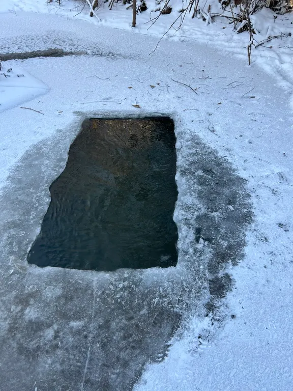 Кедровый уют у реки, ваше восстановление на Алтае