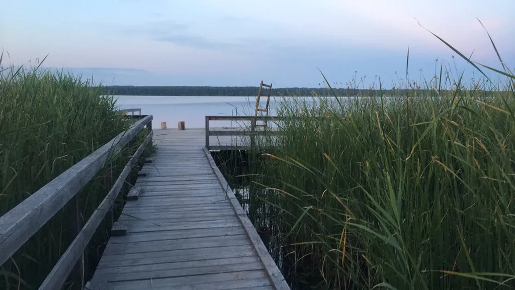 Дом для ретритов и спокойного отдыха в Березинском заповеднике