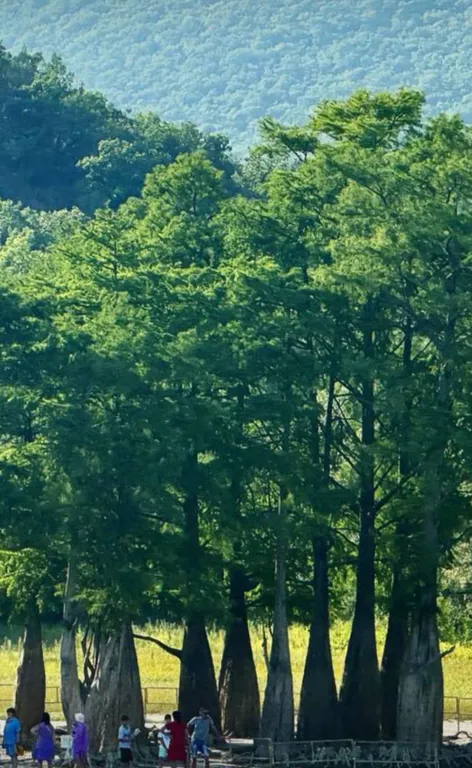 Апартамент в жк Резиденция Утриш