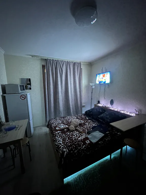 Уютная студия рядом с лесом и горнолыжным спуском