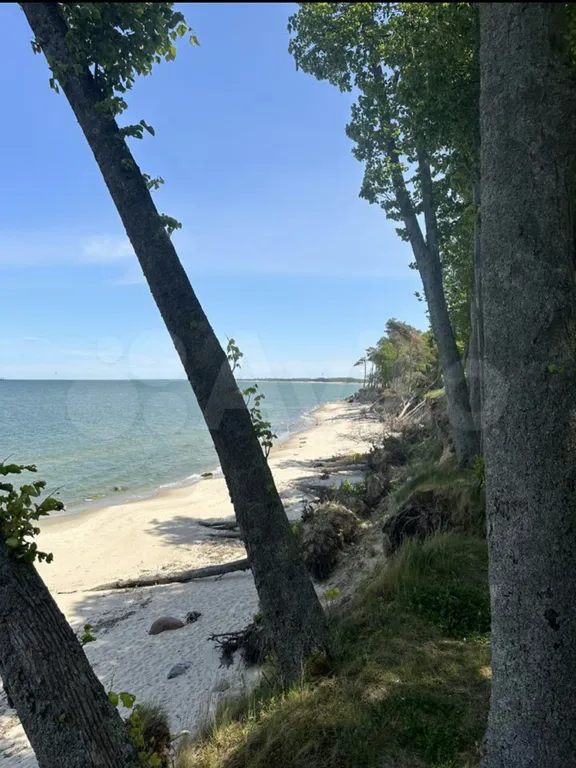 Коттедж Домик около моря — Зеленоградск