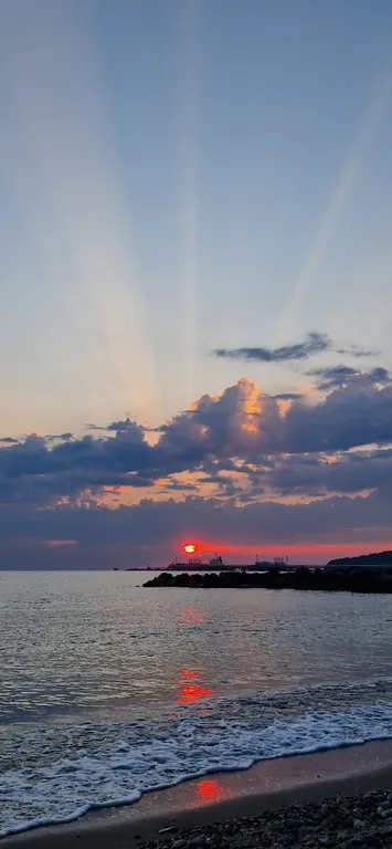 Комната в доме в лесу у моря