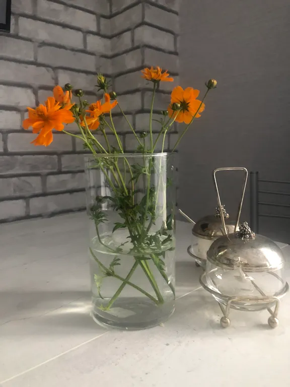 Квартира Квартира Студия с собственной террасой в олимпийском парке — Адлер