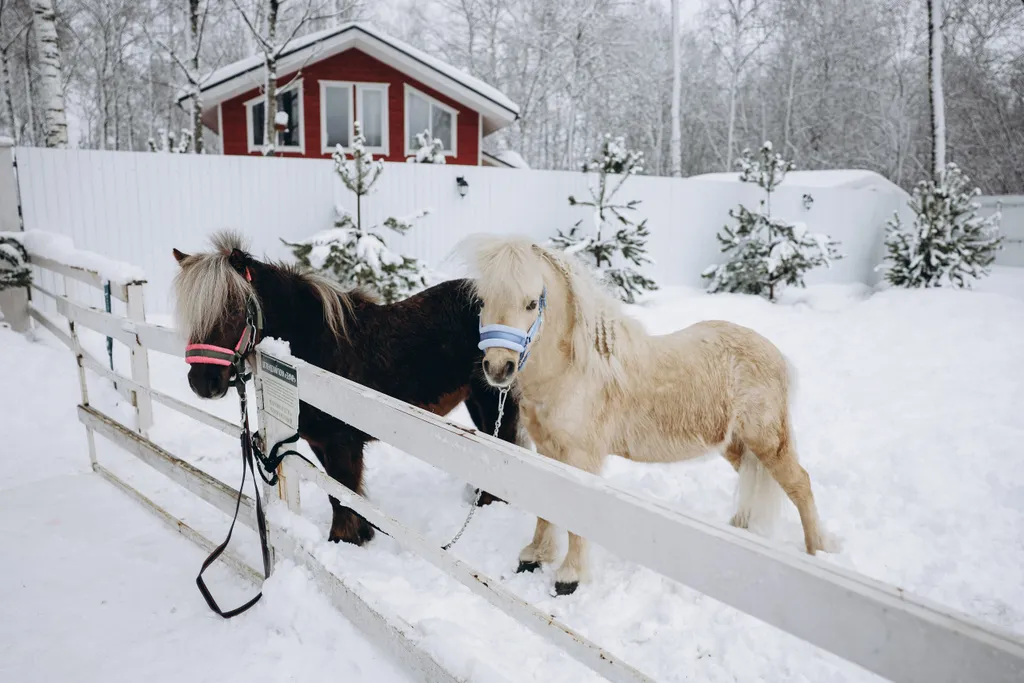 Коттедж Уютный дом с баней и чаном в лесном участке у берега водохранилища — Логиново