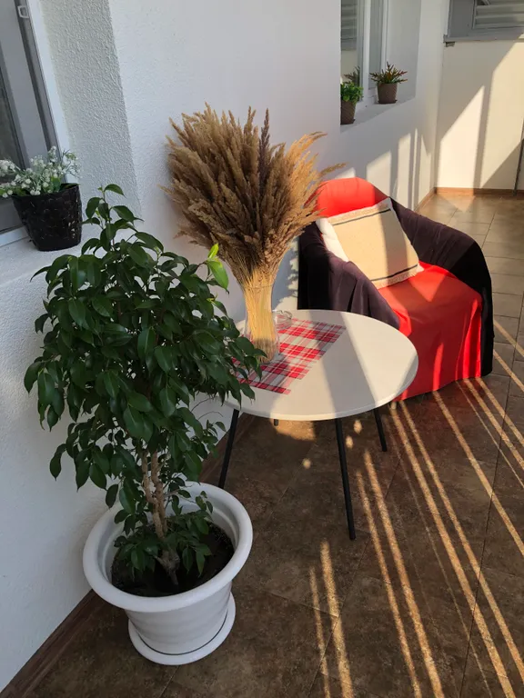 Новая уютная квартира в центре