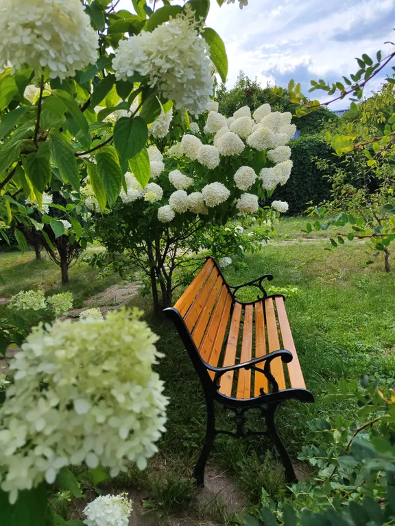 Дом Зимняя Вишня