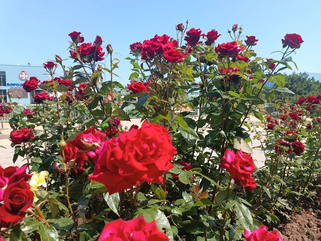 Уютная квартира с интернетом